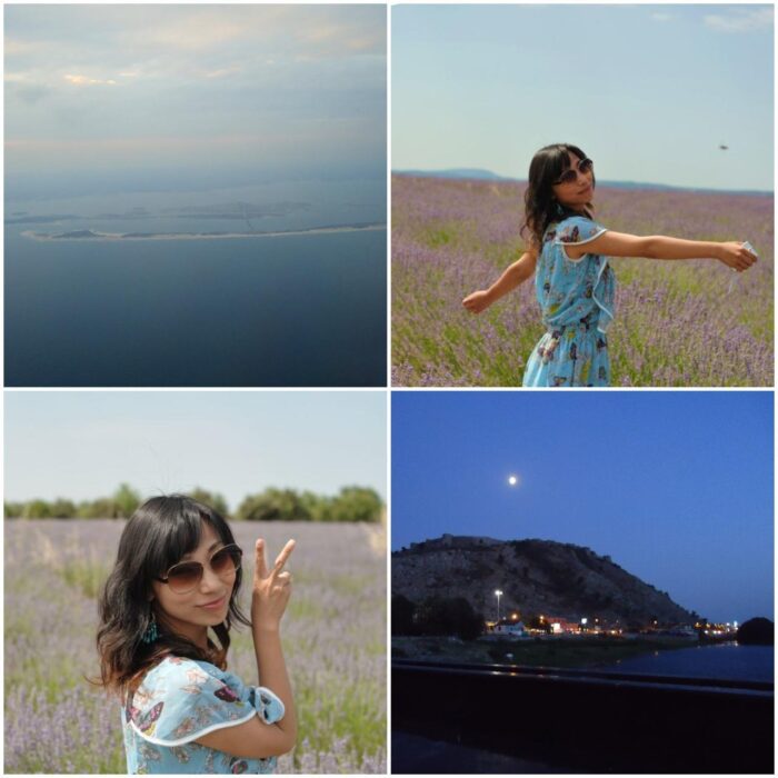 pic_1a43f339-451a-4e01-893b-843c77955588