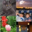 pic_31e4053a-8535-4dee-839f-3e3588beecd2
