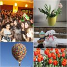 pic_594a2b8a-b90c-4926-a0ca-704cb0555048