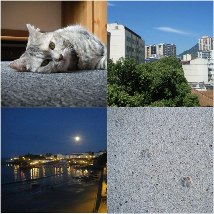 pic_72f8df70-37f1-46ac-8645-b2149a3d8002