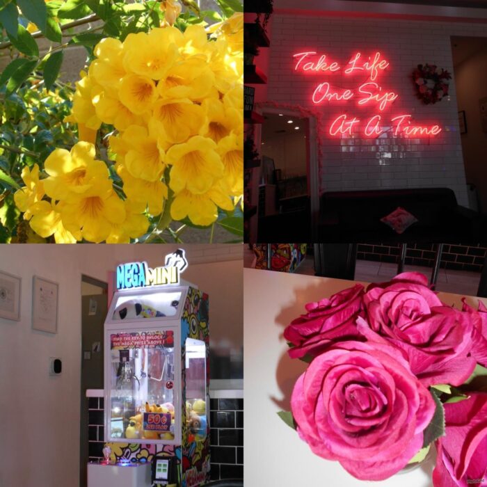 pic_84b66f58-b356-4eb7-ac06-68a1199403e5