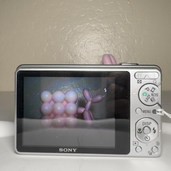 pic_b0a39b45-261d-426e-a51b-6cb629759f2c